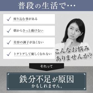 サジージュース サジー ワン SajiOne ...の詳細画像5