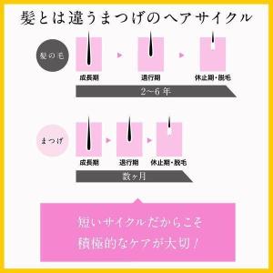 DHC アイラッシュトニック 6.5mL まつ...の詳細画像4