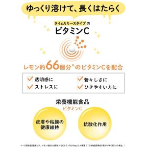 DHC 持続型ビタミンC 60日分の詳細画像1