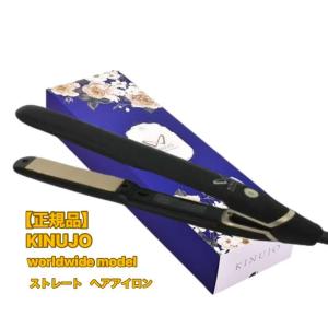 KINUJO W DS100 (BK) ブラック ストレートヘアアイロン 海外兼用