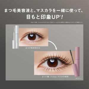 FASIO(ファシオ) まつ毛 ハリコシアップ...の詳細画像4