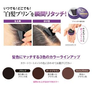 DHC Q10クイック白髪かくし(SS) 4....の詳細画像1