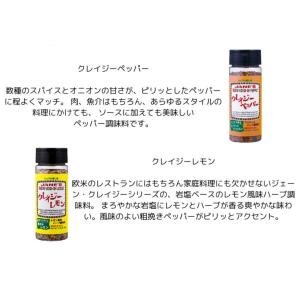 【訳あり 期限2026.09】JANES クレ...の詳細画像3