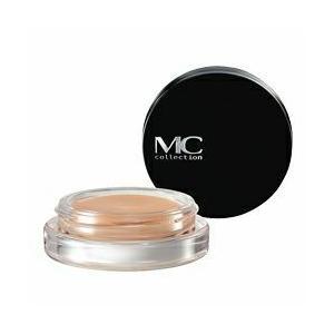 エンベリエ メナード エッセンスインファンデーション モイストタイプA