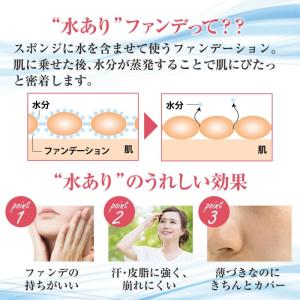 メイコー化粧品 ナチュラクター サマーケーキ ...の詳細画像2