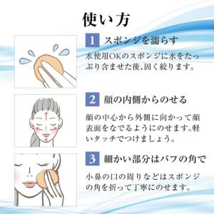 メイコー化粧品 ナチュラクター サマーケーキ ...の詳細画像5