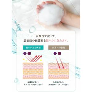 PH JAPAN PREMIUM フェミニンウ...の詳細画像3
