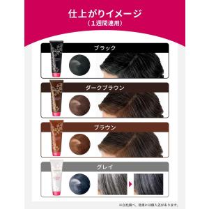 資生堂 プリオール カラーコンディショナー N...の詳細画像1