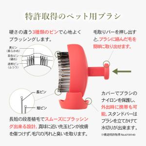 S・HEART・S(エスハートエス) パルムア...の詳細画像2