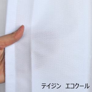 レースカーテン ウェーブロンプラス TEIJI...の詳細画像3