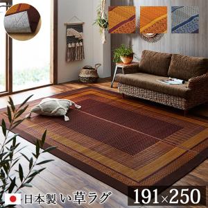 ラグ 国産 純国産 日本製 い草 モダン 抗菌防臭 自然素材 不織布 ネイビー 約191×250cm