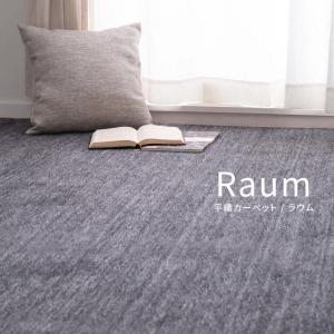 ペットにやさしい平織カーペット ラウム 352×...の商品画像