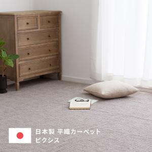 日本製 敷き詰めカーペット ピクシス 江戸間6...の詳細画像1