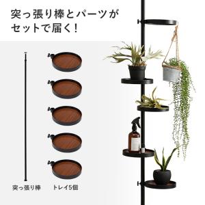 突っ張りラック 丸型/ブラウン×ブラック トレ...の詳細画像2