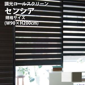 タチカワブラインド タチカワ 調光ロールスクリーン デュオレスリム