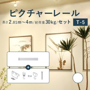 TOSO（トーソー） ピクチャーレール 《T-5》 セット 2.0m 耐荷重 30kg