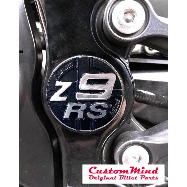 z900rs(2018モデル〜)スイングアーム(ピボット)シャフト部フレームホールプラグ(L)アルミ...