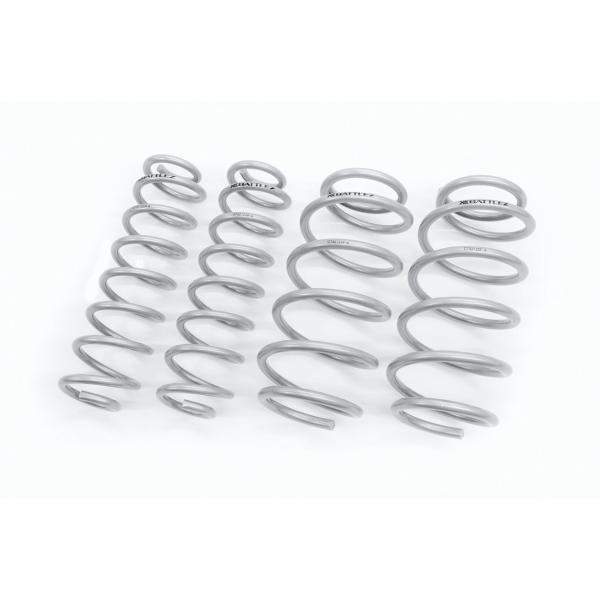 ジャオス RAV4 ラヴ4 ラブ4 50系 BATTLEZ リフトアップスプリング Ti-W E-F...