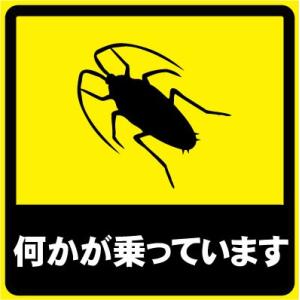 何かが乗っています おもしろステッカー カーステッカー カーグッズ  シール ユーモアステッカー ジ...