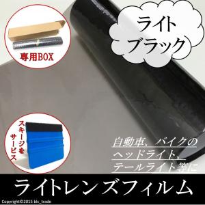 カーライトレンズフィルム 30cmx100cm 縦x横 ライトブラック スキージ ヘラ 付き 送料無...