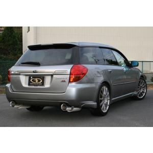 GANADOR ガナドール CONVERT Rouge EVO ポリッシュテール