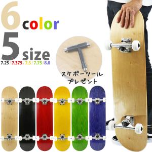 ELEMENT スケートボード コンプリート エレメント SKATEBOARDS