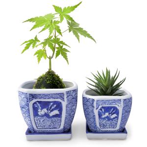 植木鉢 陶器 2点セット 和風 おしゃれ 皿付き 角鉢(市松柄)盆栽 蘭鉢