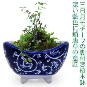 植木鉢 陶器 三日月 脚付き おしゃれ 和風(蛸唐草 藍蛸)山野草