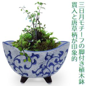 植木鉢 陶器 三日月 脚付き おしゃれ 和風(唐草 貫入)山野草 苔玉 多肉植物 サボテン 盆栽 ハーブ 底穴あり 和モダン レトロ 骨董風｜cutemania