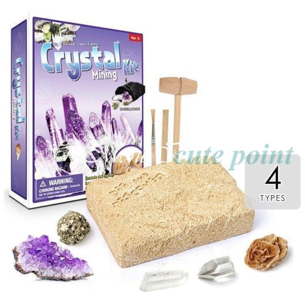 知育玩具 男の子 女の子 プレゼント 誕生日プレゼント 入学祝い クリスマスプレゼント 化石 発掘 ...