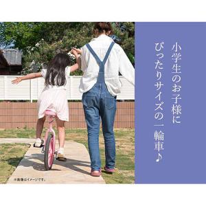 21テクノロジー 一輪車 16インチ IR16...の詳細画像2