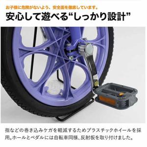 21テクノロジー 一輪車 16インチ IR16...の詳細画像4