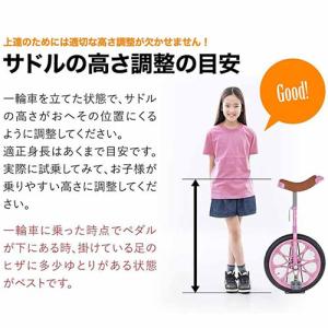 21テクノロジー 一輪車 18インチ IR18...の詳細画像3