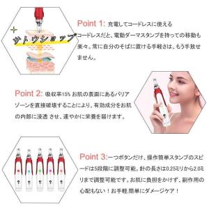美顔器 ダーマペン 電動ダーマスタンプ 最新充...の詳細画像1