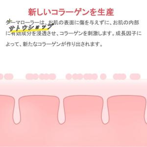 美顔器 ダーマペン 電動ダーマスタンプ 最新充...の詳細画像2