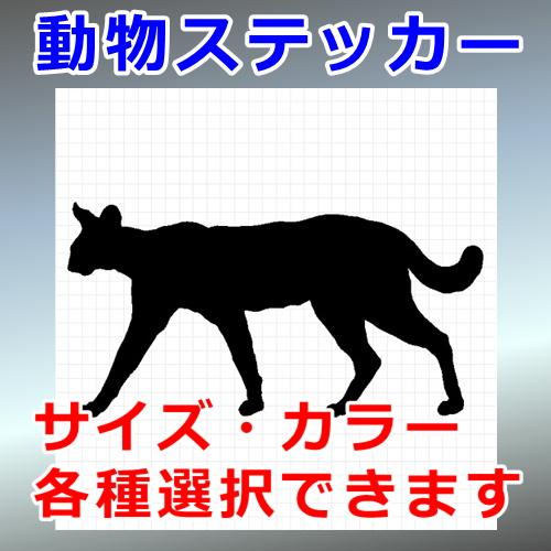 猫 サーバルキャット 大きさ