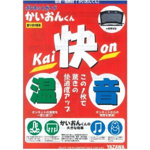 cvskumamoto_660