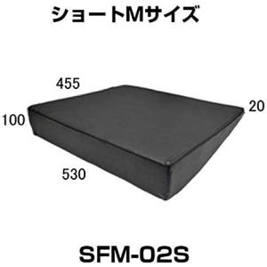 ダイキ SFM-02S シートフラットマット ショートMサイズ 1個｜cvskumamoto