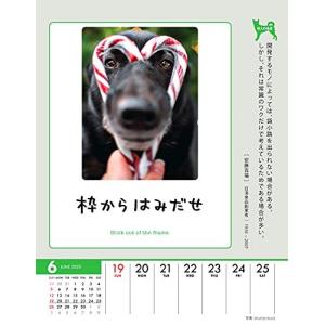 人生はワンチャンス 名言の商品一覧 通販 Yahoo ショッピング