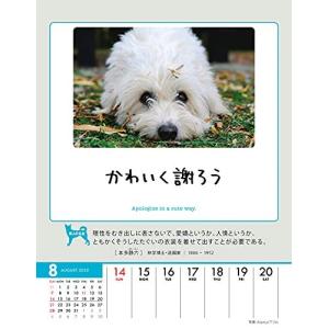 人生はワンチャンス 名言の商品一覧 通販 Yahoo ショッピング