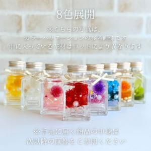 ハーバリウム ＼ラッピング付き/ 完成品 50...の詳細画像1