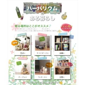 ハーバリウム 瓶 四角 50ml 100本セッ...の詳細画像4