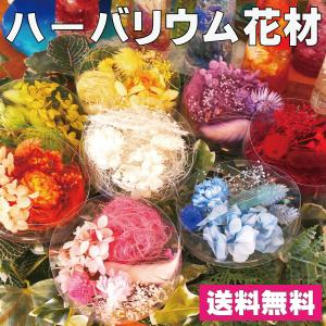 ハーバリウム 花材 アソート 花材の詰め合わせ 中身が見えるクリアケースに入っています 横浜ハーバリウム弐番店｜ハンドメイド素材の店 Mstore