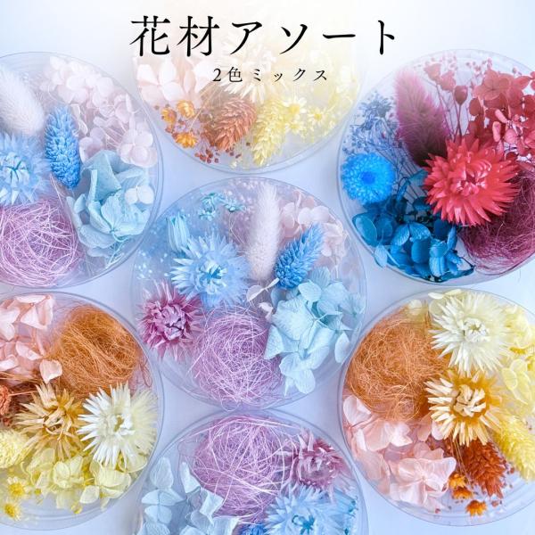 【通常カラー】ハーバリウム 花材 アソート 花材2色 ミックス ドライフラワー プリザーブドフラワー...