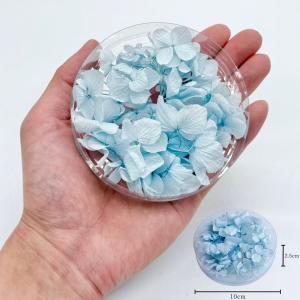 ハーバリウム 花材 あじさい ブリザーブドフラ...の詳細画像1