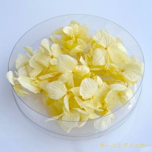 ハーバリウム 花材 あじさい ブリザーブドフラ...の詳細画像4