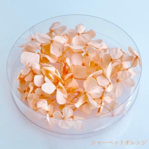 ハーバリウム 花材 あじさい ブリザーブドフラ...の詳細画像5