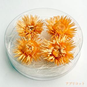 ハーバリウム 花材 デイジー ブリザーブドフラ...の詳細画像4