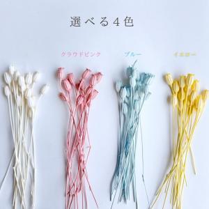 ハーバリウム 花材 フローレンティナ ブリザー...の詳細画像3