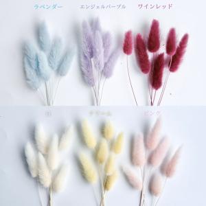 ハーバリウム 花材 ラグラス ブリザーブドフラ...の詳細画像3